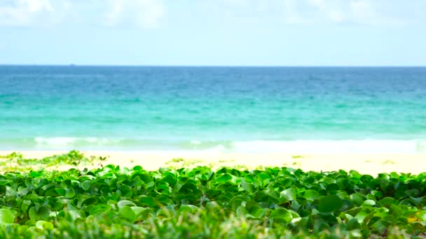 Phuket Tengerpart Tenger Kilátás Strand Tenger Napfényben Nyáron Karon Beach — Stock videók