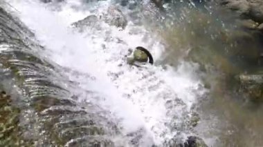 Yavaş çekim. Doğadaki şelaleyi kapatın.