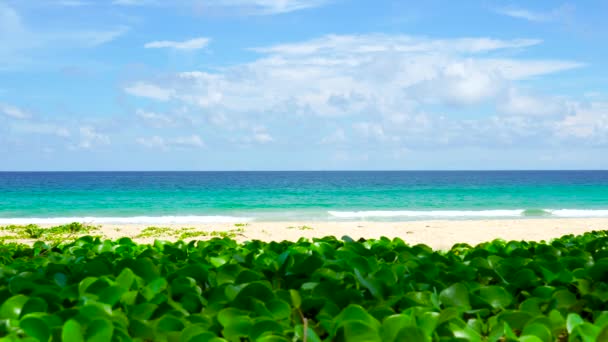Paesaggio Spiaggia Mare Phuket Spiaggia Mare Vista Sulla Spiaggia Mare — Video Stock