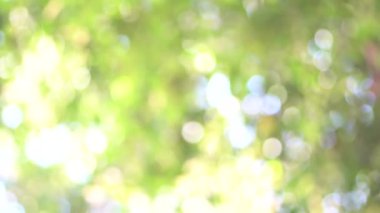 Bokeh arkaplanı tam kare