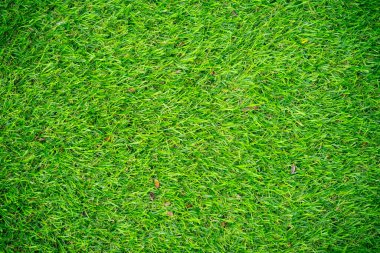 Arka plan ve doku, çimenlikte yeşil yapay çimen dokusu..
