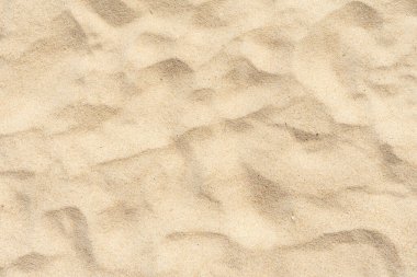 Yaz güneşinde kumsal arkaplanı