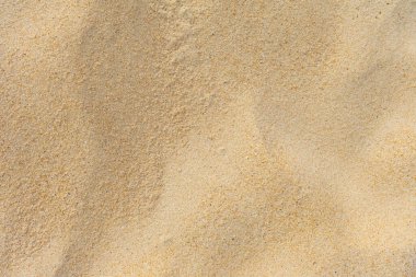 Yaz güneşinde kumsalda güzel bir kumsal.