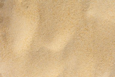 Yaz güneşinde kumsalda güzel bir kumsal.