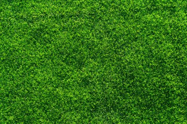 yapay çimen arkaplan dokusu