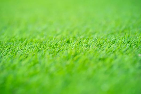 Background Texture Green Artificial Grass Texture Background Lawn Outdoors — Stock Photo, Image