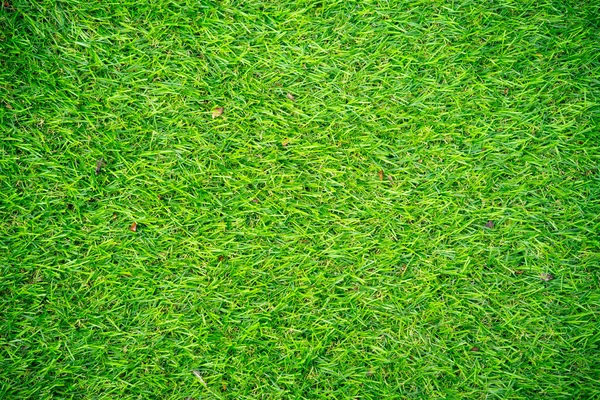 Achtergrond Textuur Groene Kunstgras Textuur Achtergrond Het Gazon Buiten — Stockfoto