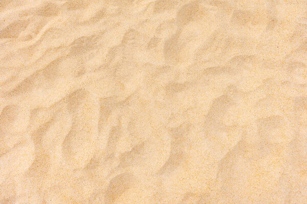 close-up fine beach sand in summer sun