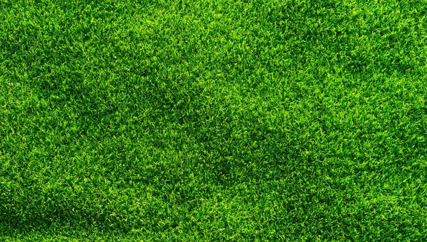 Top Uitzicht Gras Textuur Achtergrond — Stockfoto