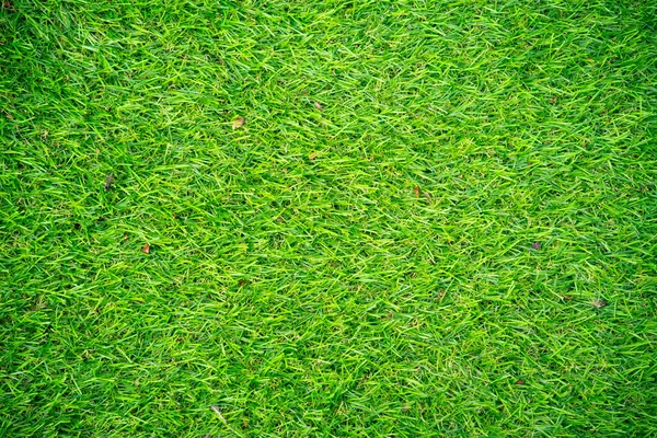 Fond Texture Vert Texture Gazon Artificiel Fond Dans Pelouse Extérieur Photos De Stock Libres De Droits