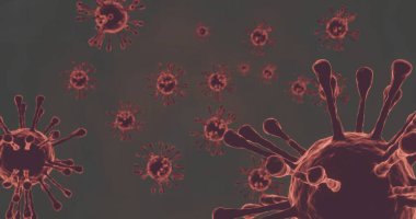 Virüs, Coronavirus, 3 boyutlu resimleme