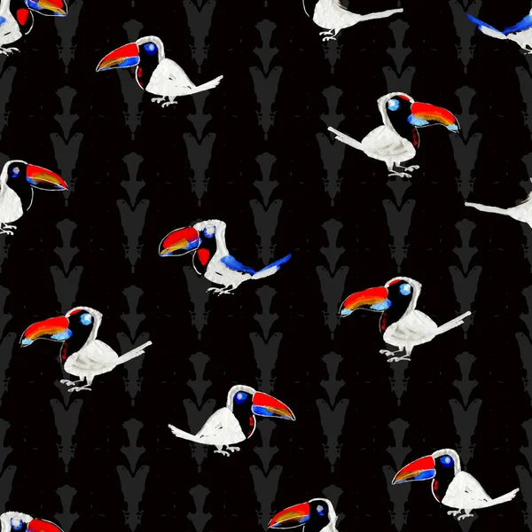 Toucan μοτίβο. Τροπικό πτηνό απρόσκοπτη ταπετσαρία. — Φωτογραφία Αρχείου