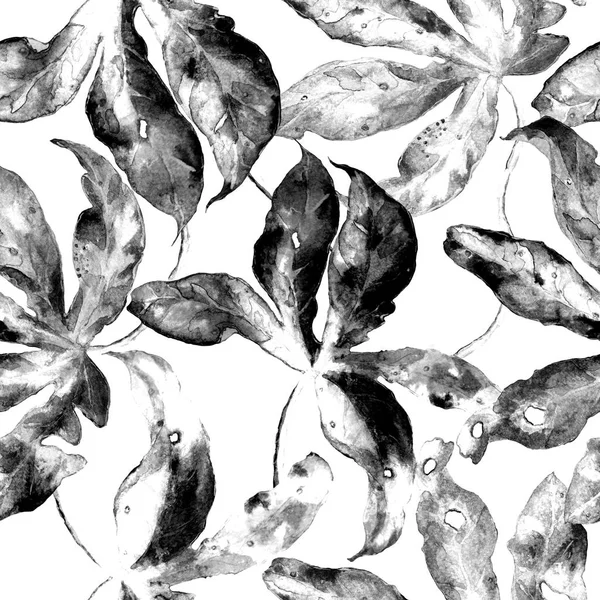 열 대 잎 수채화 원활한 패턴: 팜 스, 몬스 테라, frangipani, 열정 과일. 손으로 그린 이국적인 식물을 가진 아름 다운 allover 인쇄입니다. 수영복 식물 디자인. — 스톡 사진