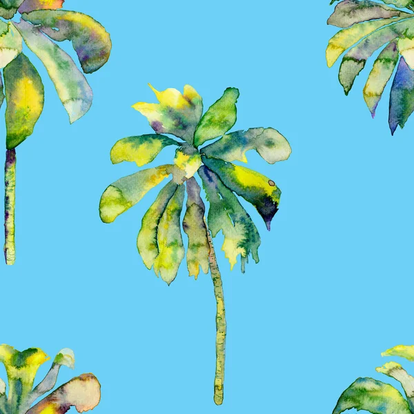 Tropic palm pattern. — Stock Photo, Image