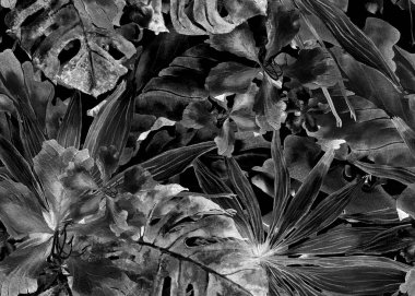 Tropikal desen. Suluboya Tayland palmiye, muz ağacı monstera, ebegümeci.