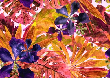 Tropikal desen. Suluboya Tayland palmiye, muz ağacı monstera, ebegümeci.