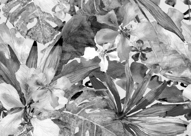 Tropikal desen. Suluboya Tayland palmiye, muz ağacı monstera, ebegümeci.