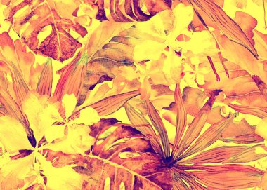 Tropikal desen. Suluboya Tayland palmiye, muz ağacı monstera, ebegümeci.