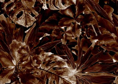 Tropikal desen. Suluboya Tayland palmiye, muz ağacı monstera, ebegümeci.