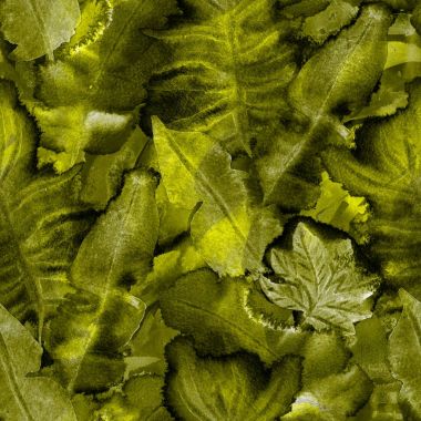 Tropikal hawaiian arka plan. 