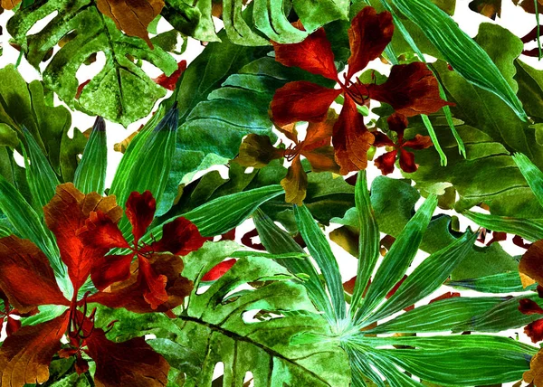Padrão tropical. Aquarela palmeira, monstera, hibisco, bananeira . — Fotografia de Stock