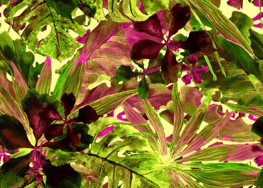 Tropikal desen. Suluboya Tayland palmiye, muz ağacı monstera, ebegümeci.