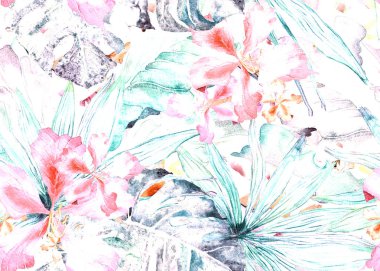 Tropikal desen. Suluboya Tayland palmiye, muz ağacı monstera, ebegümeci.