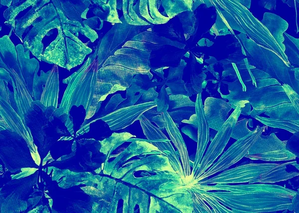 Tropikal desen. Suluboya Tayland palmiye, muz ağacı monstera, ebegümeci.