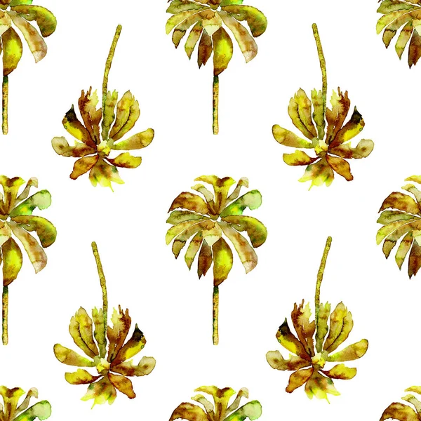 Пальмовая ветвь. Экзотический бесшовный акварель — стоковое фото