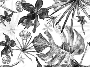 Orkide Kusursuz Desen.