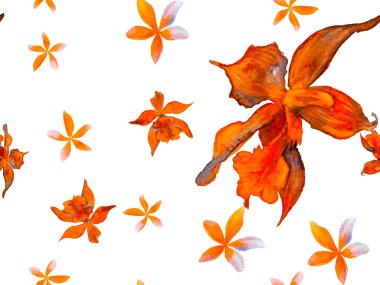 Orkide Kusursuz Desen.