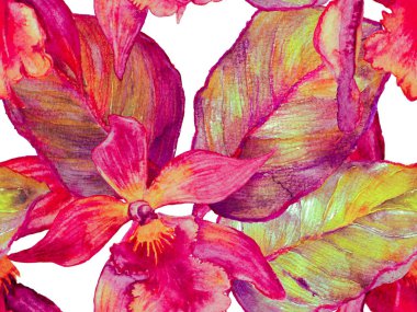 Orkide Kusursuz Desen.