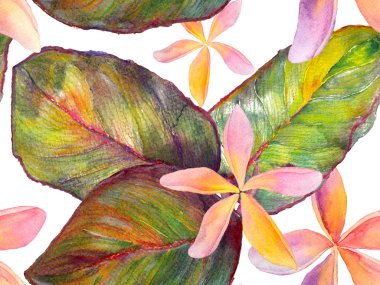 Orkide Kusursuz Desen.