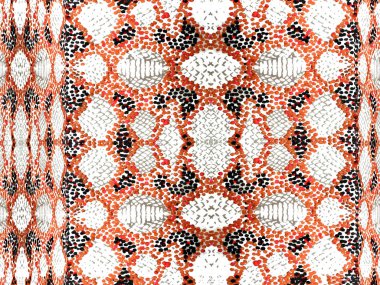 Yılan derisi arkaplanı.