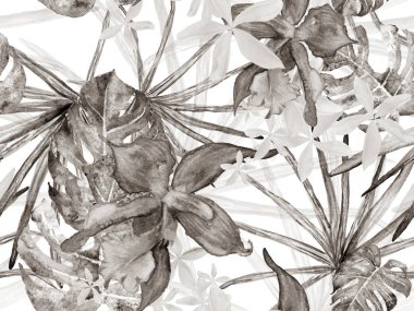 Orkide Kusursuz Desen.