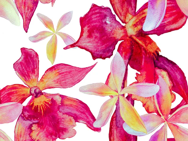 Bezešvý vzorek orchideje. — Stock fotografie