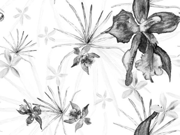 Orchid Seamless Pattern. — Stock Photo, Image