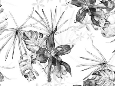 Orkide Kusursuz Desen.