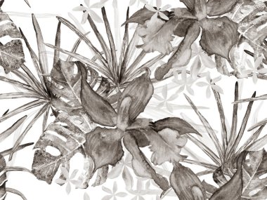 Orkide Kusursuz Desen.