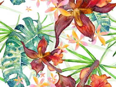 Orkide Kusursuz Desen.