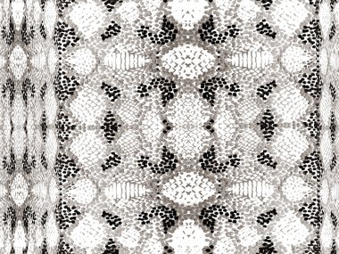 Yılan derisi arkaplanı.