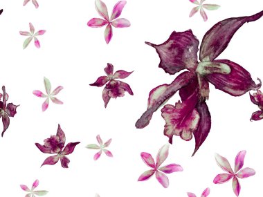 Orkide Kusursuz Desen.