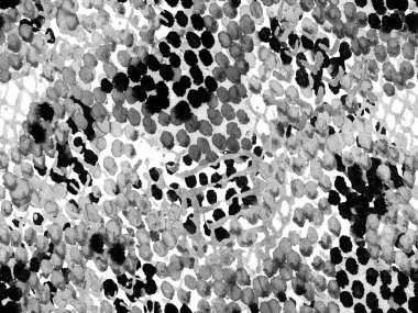 Yılan derisi arkaplanı.