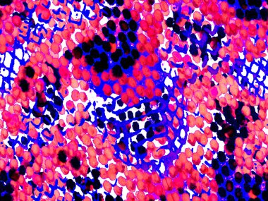 Yılan derisi arkaplanı.