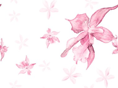 Orkide Kusursuz Desen.