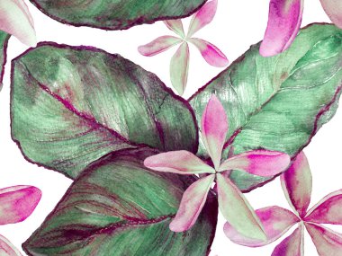 Orkide Kusursuz Desen.