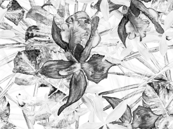 Орхідеї безшовні візерунком . — стокове фото