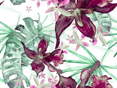 Orkide Kusursuz Desen.