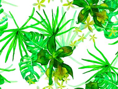 Orkide Kusursuz Desen.