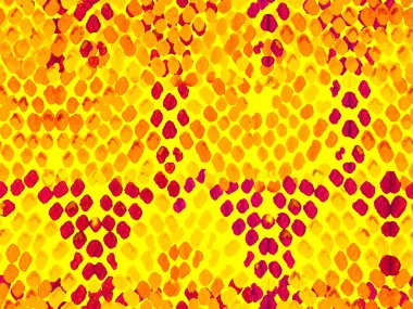 Yılan derisi arkaplanı.